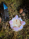 Rose Quartz Tumbled Tealight Holder OptionB
