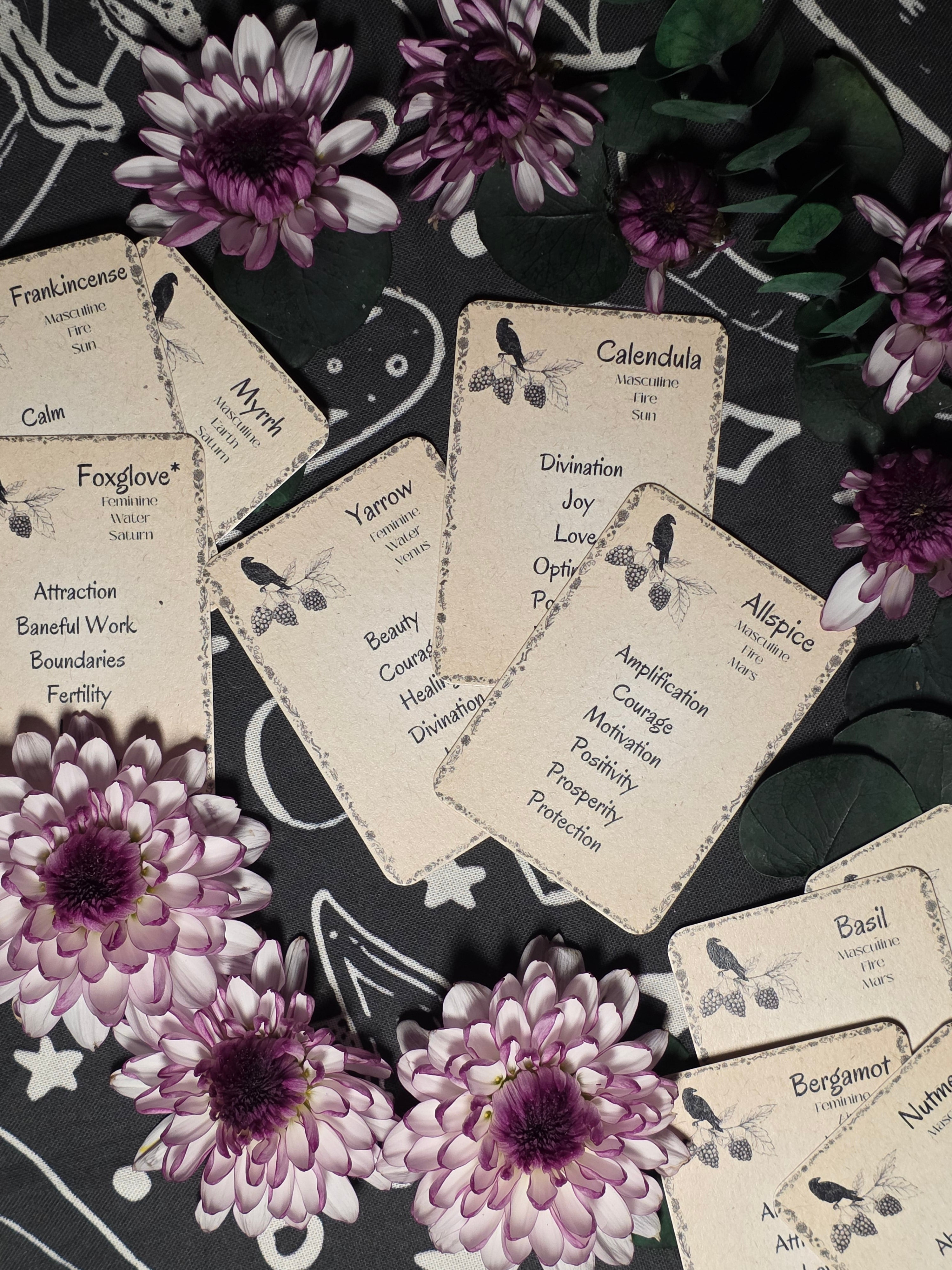 Ritual Reference Card Deck